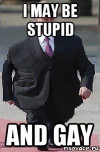 i may be stupid and gay