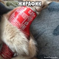 жирафик 