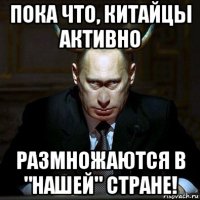 пока что, китайцы активно размножаются в "нашей" стране!