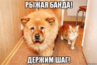рыжая банда! держим шаг!