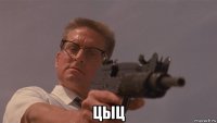  цыц