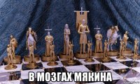  в мозгах мякина