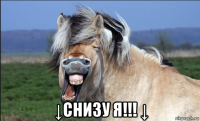  ↓снизу я!!! ↓