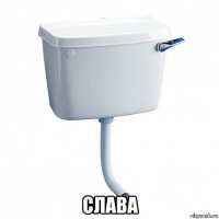  слава