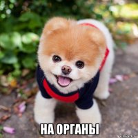  на органы