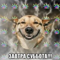  завтра суббота!!!