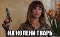  на колени тварь