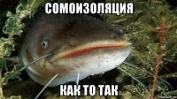 сомоизоляция как то так