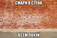 смари я стена всем похуй