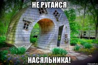 не ругайся насяльника!