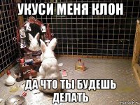 укуси меня клон да что ты будешь делать