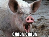  слява, слява