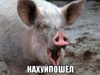  нахуйпошёл