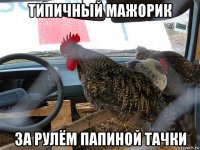 типичный мажорик за рулём папиной тачки