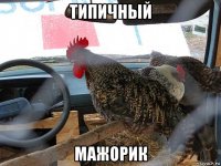 типичный мажорик