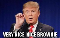  very nice, nice brownie