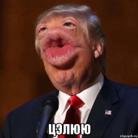  цэлюю