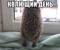 колющий день 