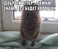 добрый вечер... помню... знаю.. все будет хорошо.. 