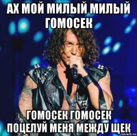 ах мой милый милый гомосек гомосек гомосек поцелуй меня между щек
