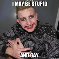 i may be stupid and gay