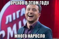 орехов в этом году много наросло