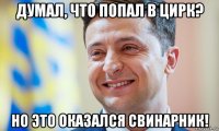 думал, что попал в цирк? но это оказался свинарник!