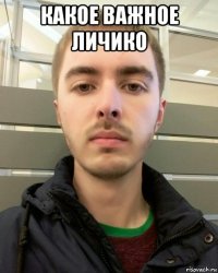 какое важное личико 