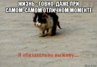 жизнь - говно, даже при самом-самом отличном моменте 