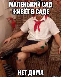 маленький сад живёт в саде нет дома