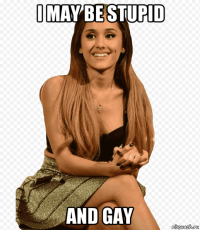 i may be stupid and gay