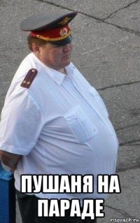  пушаня на параде