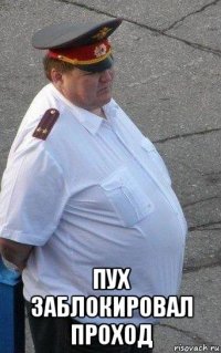  пух заблокировал проход