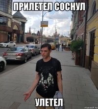 прилетел соснул улетел