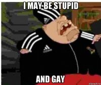 i may be stupid and gay
