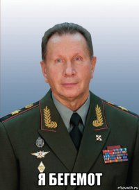  я бегемот