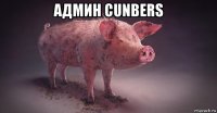 админ cunbers 