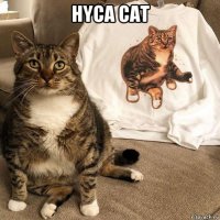hyca cat 