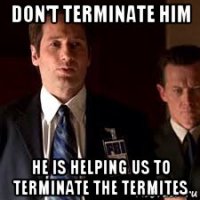 don't terminate him he is helping us to terminate the termites