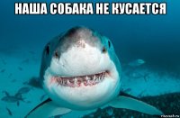 наша собака не кусается 