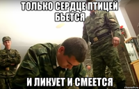 только сердце птицей бьется и ликует и смеется