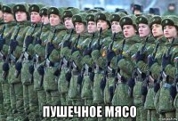  пушечное мясо