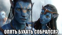  опять бухать собрался?