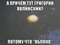а причём тут григорий явлинский? потому что "яблоко"