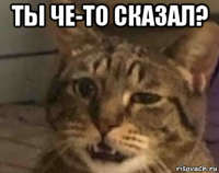 ты че-то сказал? 