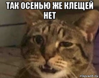 так осенью же клещей нет 