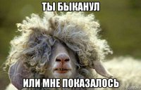 ты быканул или мне показалось