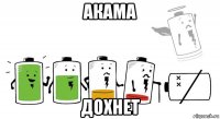 акама дохнет