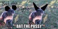  bat the pussy