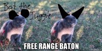  free range baton